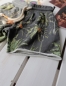 Preview: Scotch Shrunk all-over printed sweat shorts