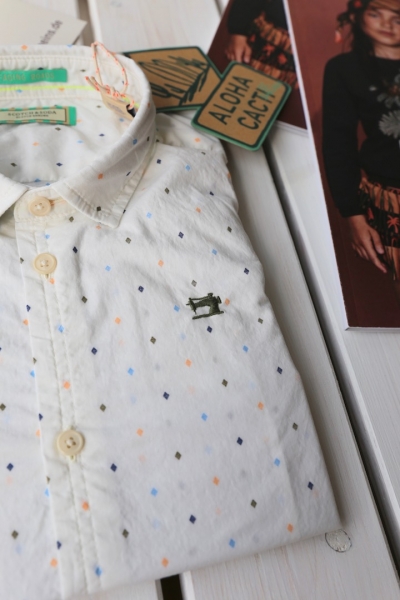 Scotch Shrunk - basic yarn-dyed shirt