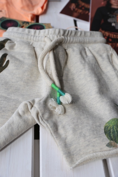 Scotch Shrunk - all over printed sweat shorts